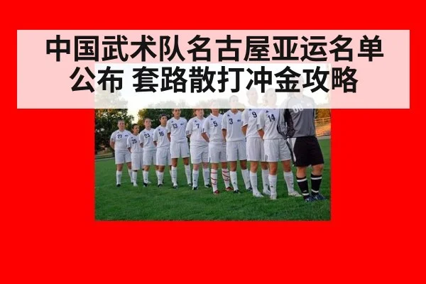 中国武术队名古屋亚运名单公布 套路散打冲金攻略